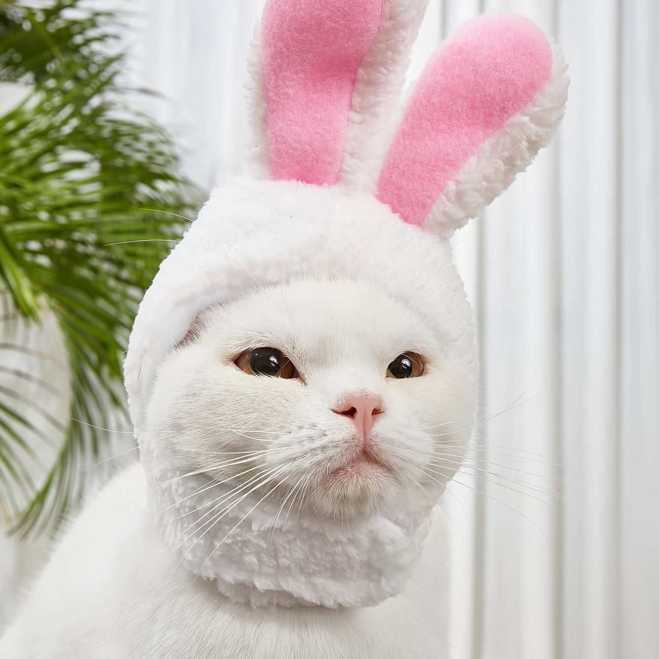 Adorable Rabbit Cat Headgear for Small Dogs & Cats - Perfect Pet Party Costume and Accessory