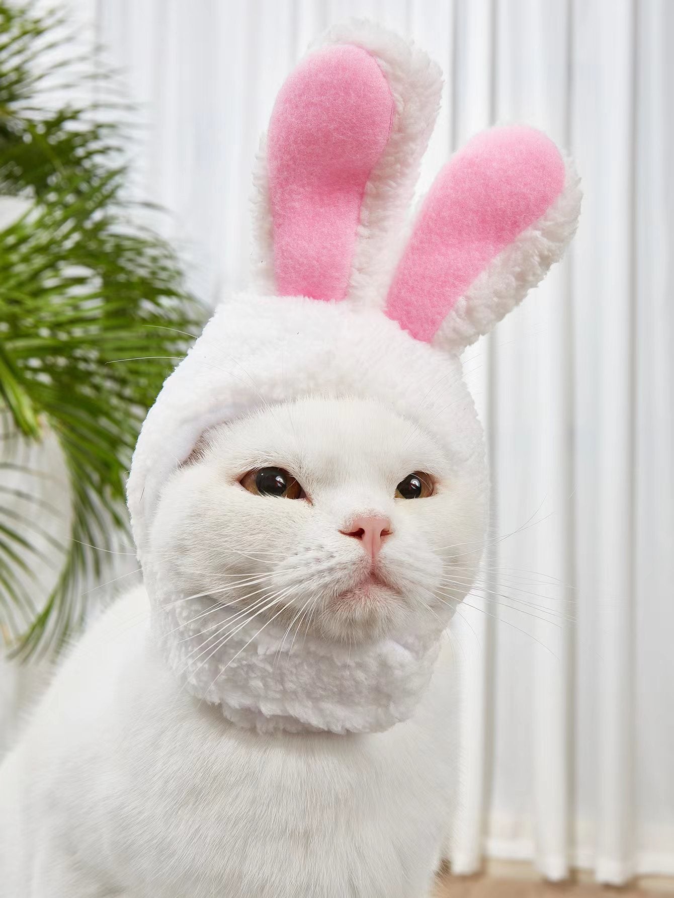 Adorable Rabbit Cat Headgear for Small Dogs & Cats - Perfect Pet Party Costume and Accessory