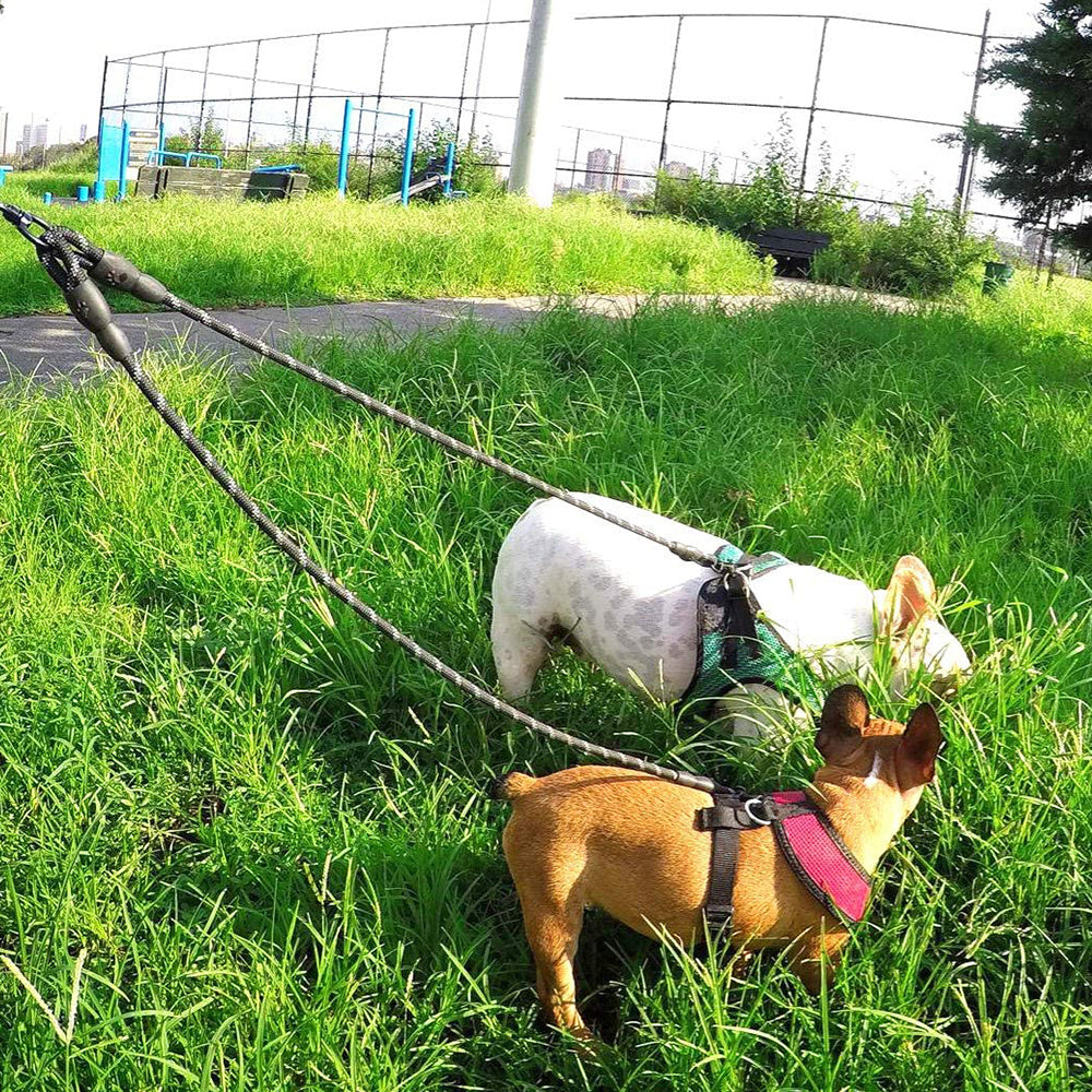 JOYTALE Reflective Dual Leash for 2 Dogs - No Tangle Walking Leash with Comfortable Handle