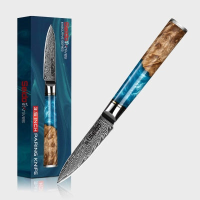 Premium Japanese Chef Knife Set – 67-Layer Damascus Steel Kitchen Knives with Wooden Handle
