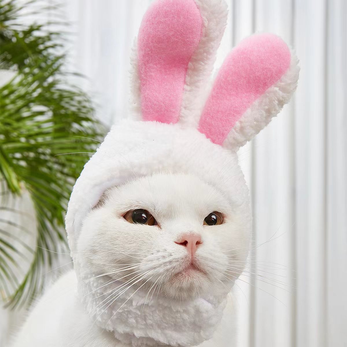 Adorable Rabbit Cat Headgear for Small Dogs & Cats - Perfect Pet Party Costume and Accessory