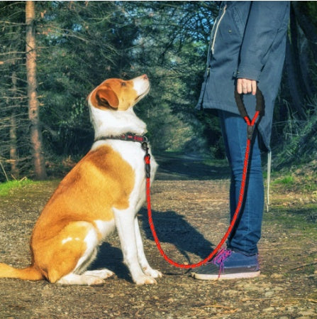 Reflective Dog Leash – Durable Nylon Rope with Soft Anti-Slip Handle