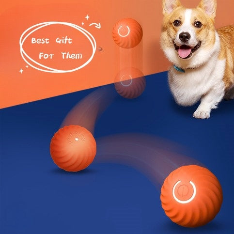 Durable Rubber Dog Ball – Chew-Resistant Toy for Training & Play