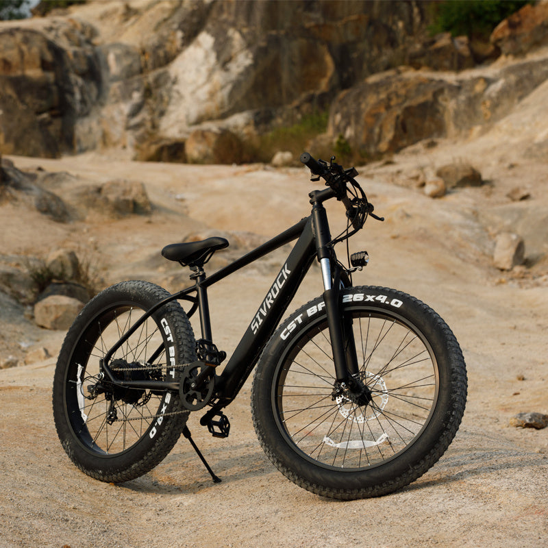 Professional Electric Mountain Bike 1000W – 26” Fat Tire E-Bike for Adults, 48V Lithium Battery, Shimano 7-Speed